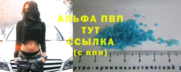 шишки Михайлов